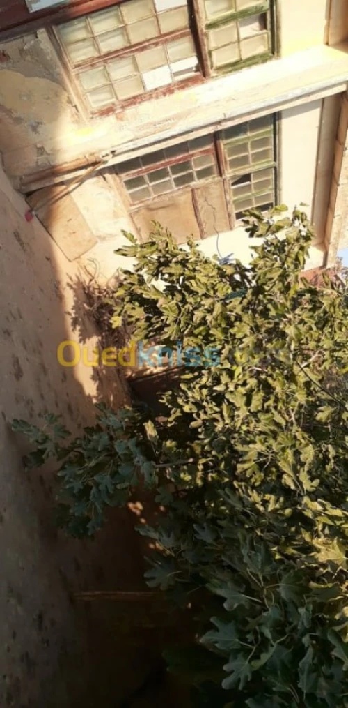 Vente Villa Ain temouchent El malah