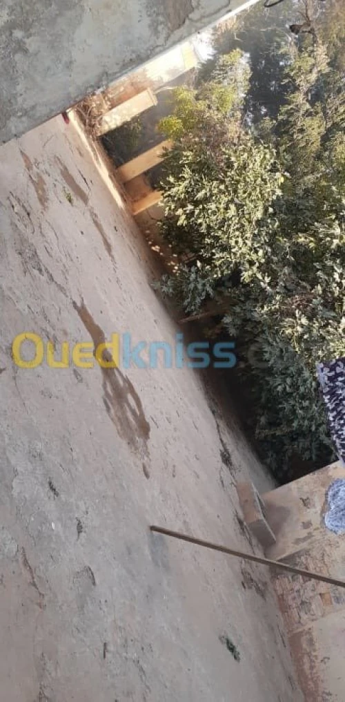 Vente Villa Ain temouchent El malah