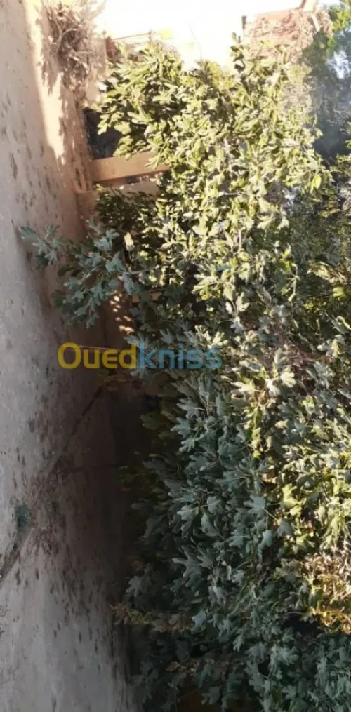 Vente Villa Ain temouchent El malah
