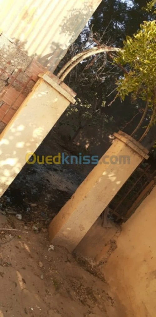 Vente Villa Ain temouchent El malah