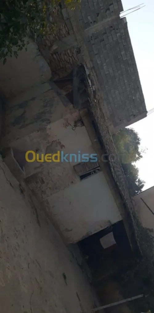 Vente Villa Ain temouchent El malah