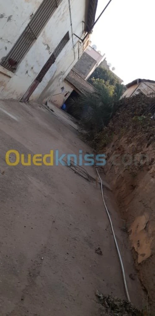 Vente Villa Ain temouchent El malah