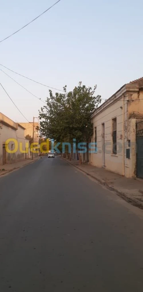 Vente Villa Ain temouchent El malah