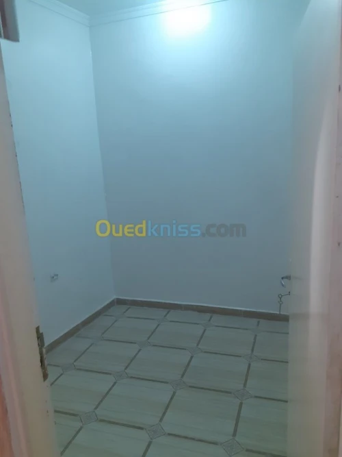 Location Local Tipaza Kolea