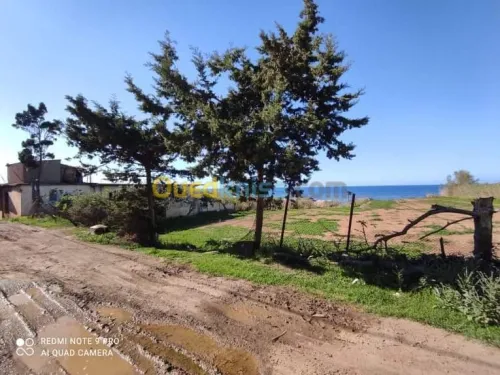 Vente Terrain Tipaza Cherchell