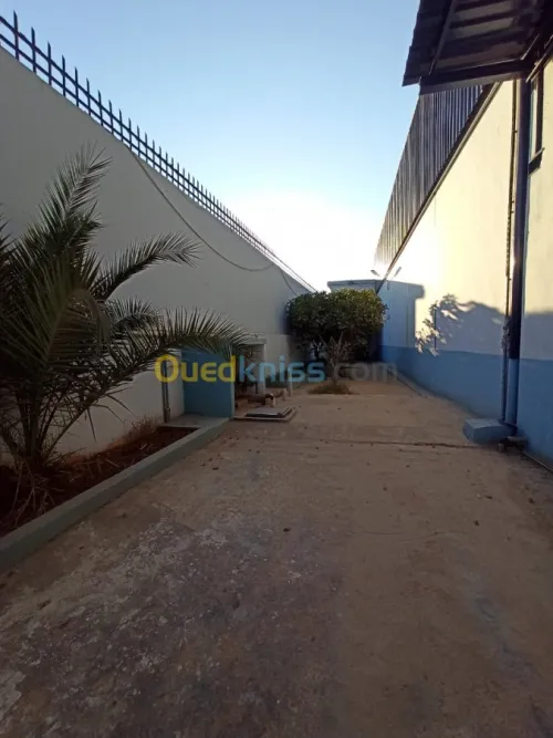 Location Usine Oran Es senia