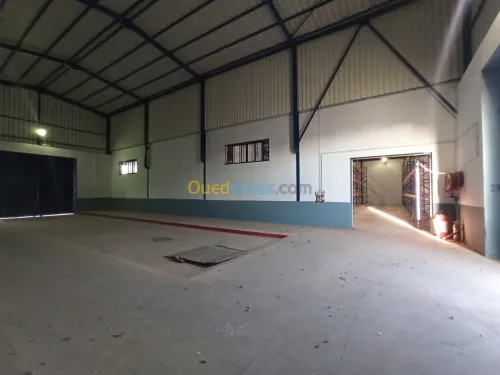 Location Usine Oran Es senia