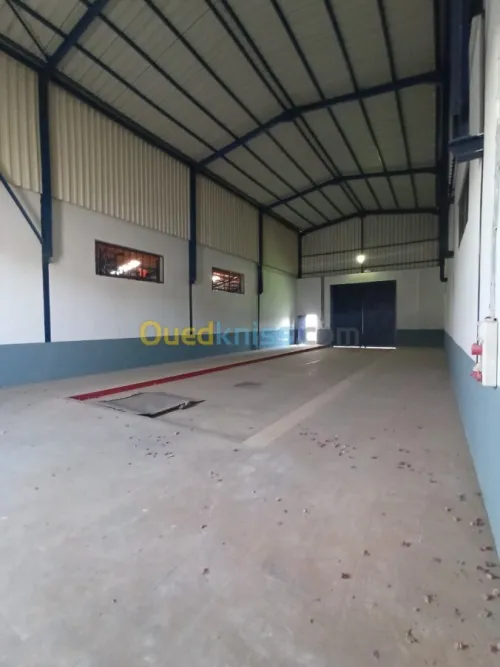 Location Usine Oran Es senia