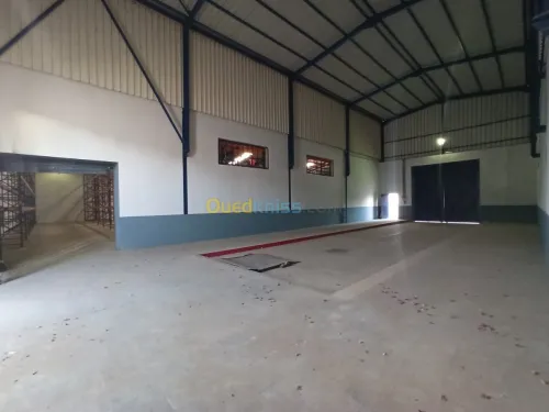 Location Usine Oran Es senia