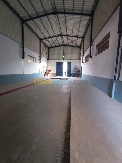 Location Usine Oran Es senia