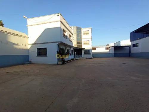 Location Usine Oran Es senia
