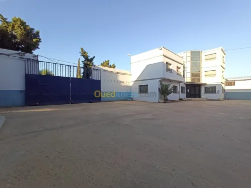 Location Usine Oran Es senia