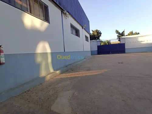 Location Usine Oran Es senia