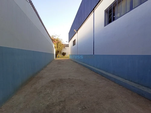 Location Usine Oran Es senia