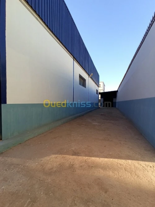 Location Usine Oran Es senia