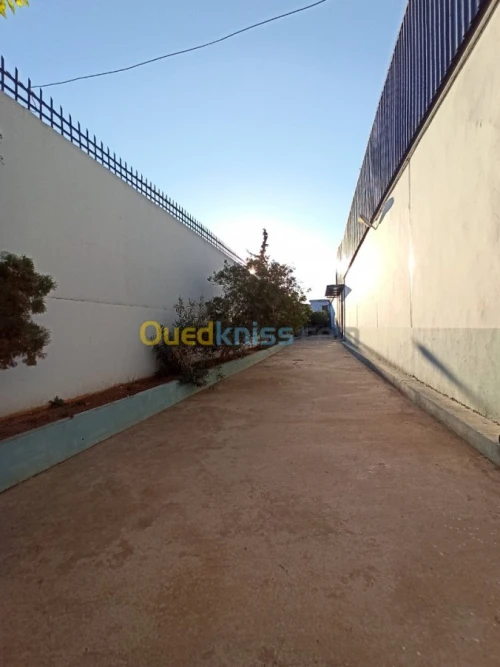 Location Usine Oran Es senia