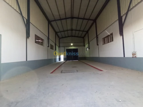 Location Usine Oran Es senia