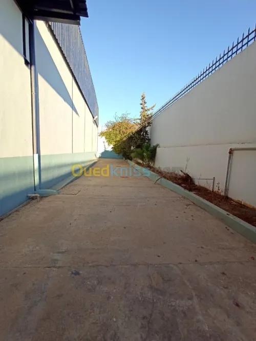Location Usine Oran Es senia