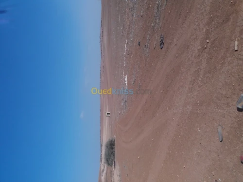 Vente Terrain Agricole Oran Sidi chami