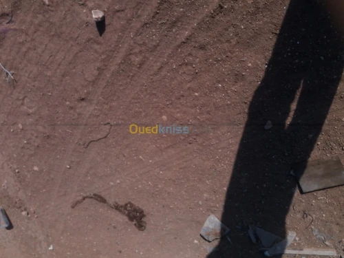 Vente Terrain Agricole Oran Sidi chami