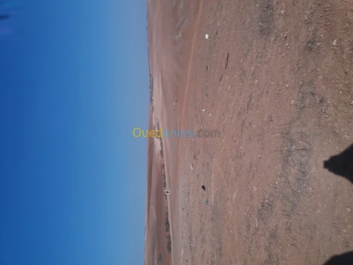Vente Terrain Agricole Oran Sidi chami