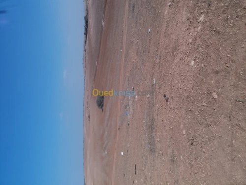 Vente Terrain Agricole Oran Sidi chami