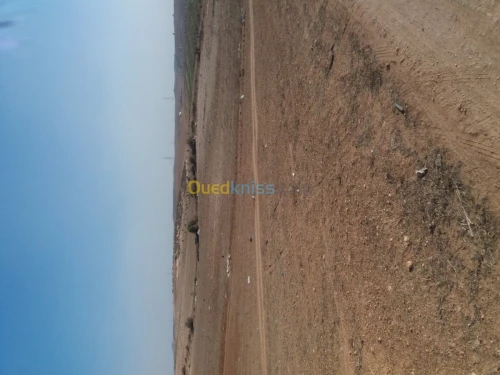 Vente Terrain Agricole Oran Sidi chami