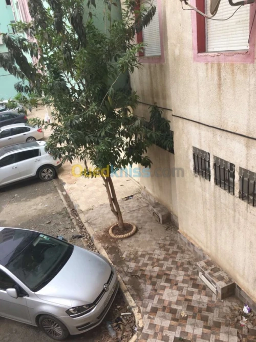 Vente Appartement F1 Boumerdes Boudouaou