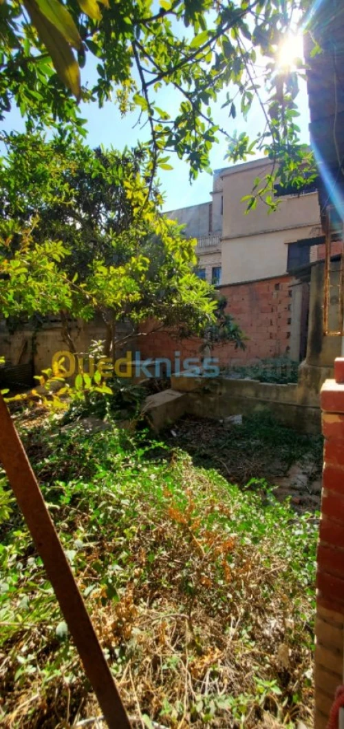Vente Villa Tipaza Kolea