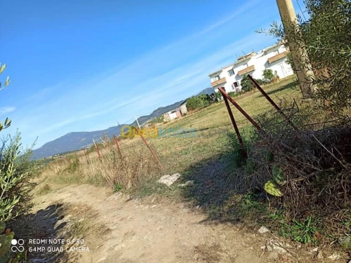 Vente Tizi ouzou Freha