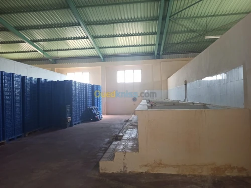Location Usine Biskra Biskra