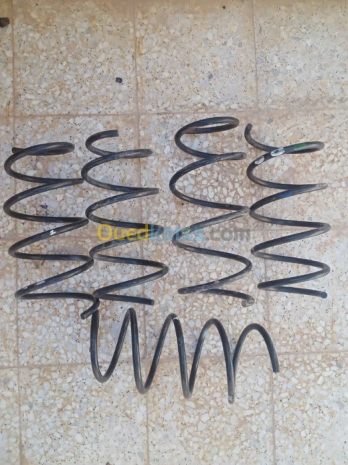 Ressort a boudin , clio bounia campus 