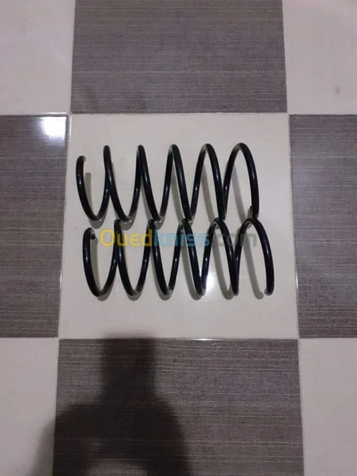 Ressort a boudin , clio bounia campus 