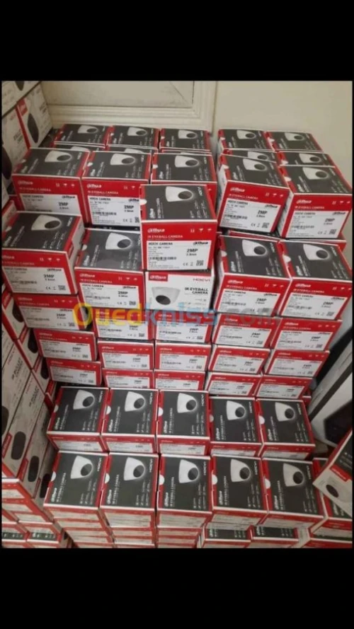 Caméra de surveillance DVR