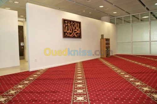 Location Immeuble Alger Cheraga