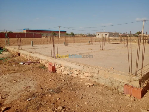 Vente Terrain Mascara Tighennif