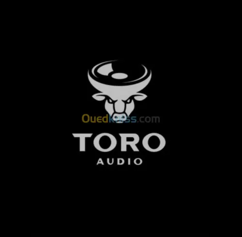 Conception graphique / logo