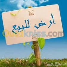 Vente Terrain Bechar Bechar