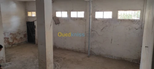 Location Local Setif Setif
