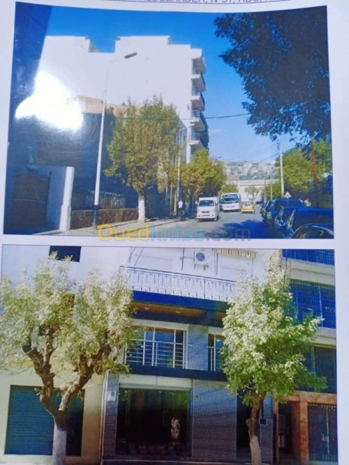 Location Local Annaba Annaba