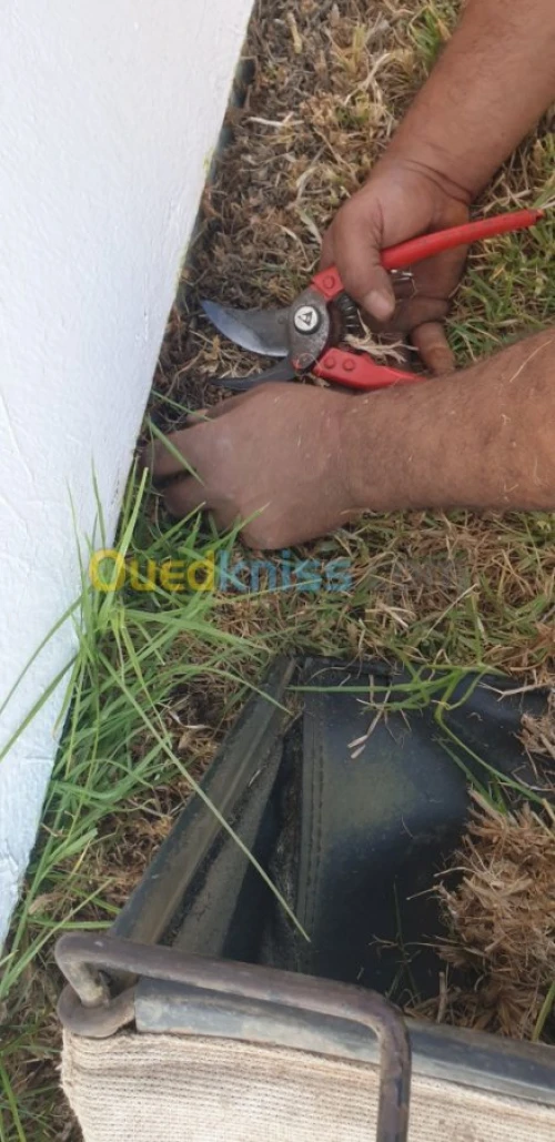 Entretien espace vert 