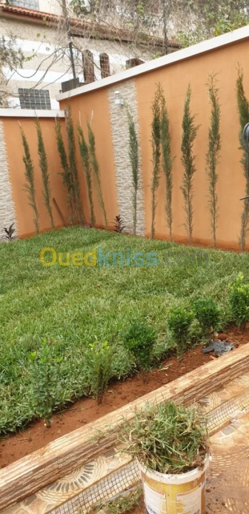 Entretien espace vert 