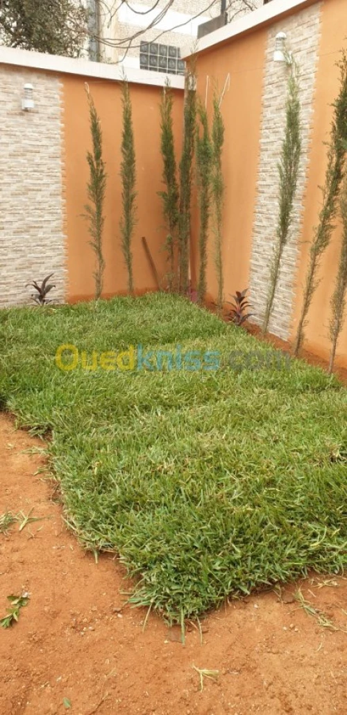 Entretien espace vert 