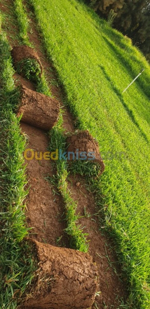 Entretien espace vert 