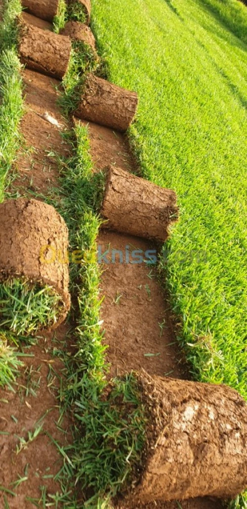 Entretien espace vert 