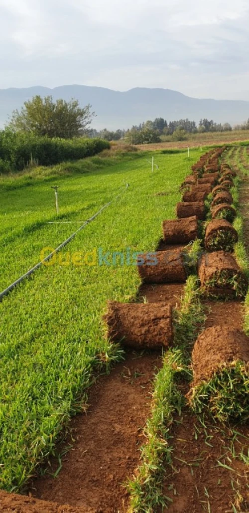 Entretien espace vert 