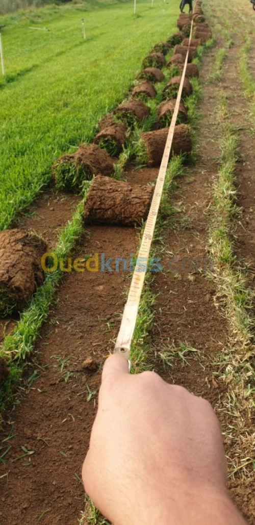 Entretien espace vert 