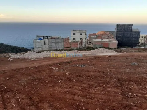 Vente Terrain Tlemcen Honaine