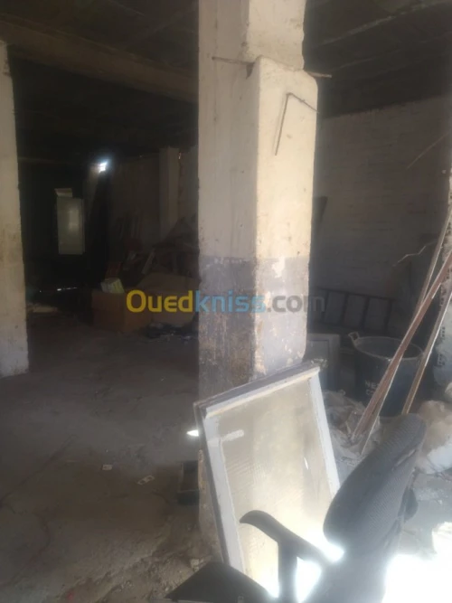 Location Hangar Alger Kouba