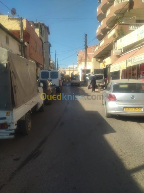 Location Hangar Alger Kouba